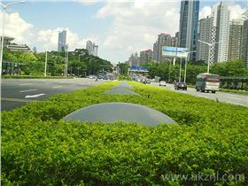 01_副本.jpg 01_副本.jpg