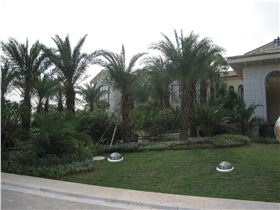 美林湖光導照明應用