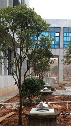 光導照明施工 光導照明施工