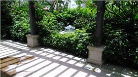 五洲灣光導照明應用