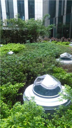 導光管日光照明系統綠化帶應用-hkznl.com 導光管日光照明系統綠化帶應用-hkznl.com