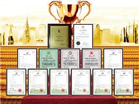 正能量科技企業榮譽