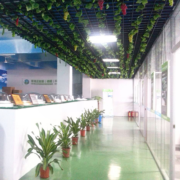 原來這就是光導照明系統啊