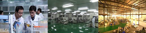 香港正能量,光導(dǎo)照明專業(yè)供應(yīng)商,8年專注 香港正能量,光導(dǎo)照明專業(yè)供應(yīng)商,8年專注