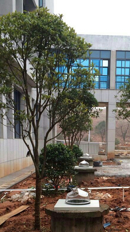 光導照明施工 光導照明施工