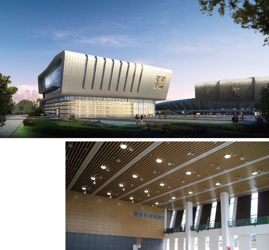 導光管采光系統在雅安體育館應用 導光管采光系統在雅安體育館應用