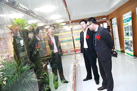 綠色生態辦公空間 綠色生態辦公空間