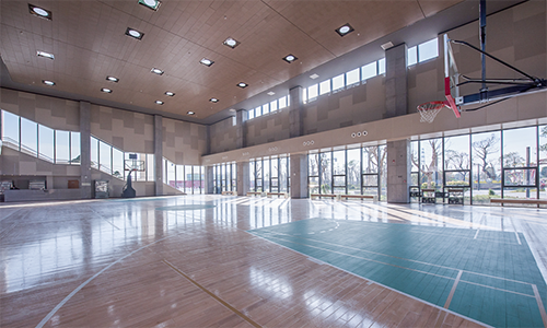 正能量光導照明系統體育館應用 正能量光導照明系統體育館應用