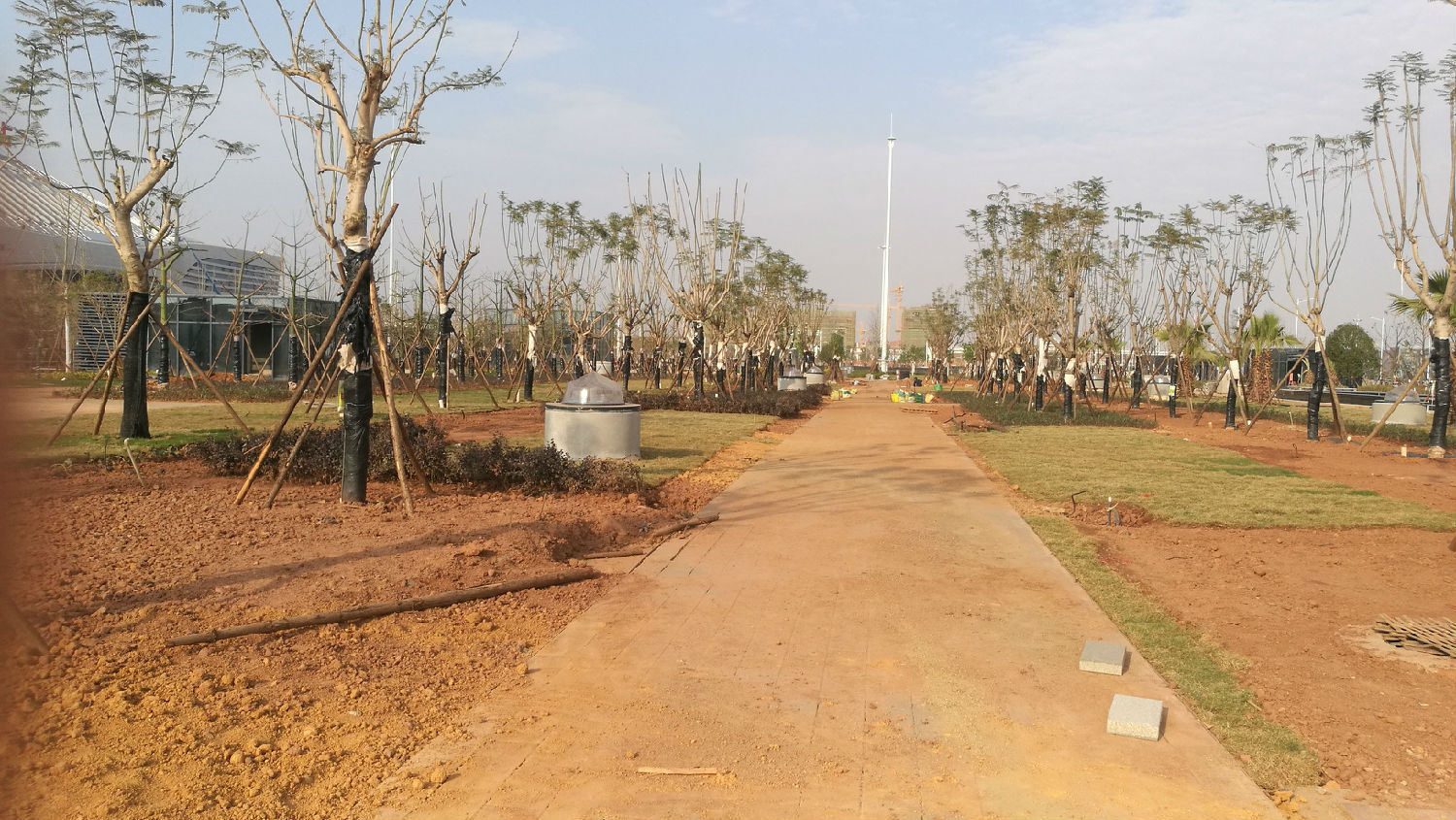 采光陽光中 采光陽光中