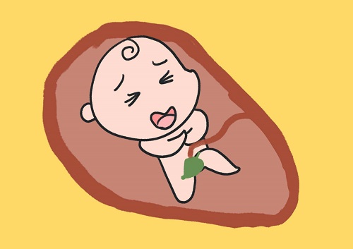 試管嬰兒價(jià)格大約多少錢