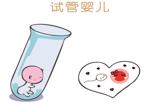 哪些人群適合試管嬰兒長方案？