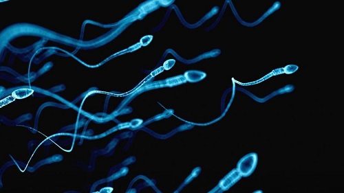 俄羅斯第三代試管嬰兒的費用究竟要多少