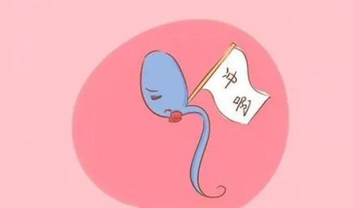 做個(gè)試管嬰兒費(fèi)用大概要多少錢?