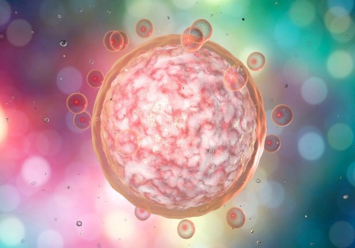 泰國(guó)試管從國(guó)內(nèi)到泰國(guó)的具體步驟