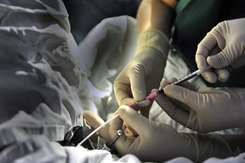 泰國(guó)第三代試管嬰兒怎么樣